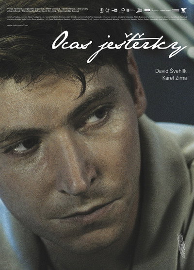 Póster de Wingless