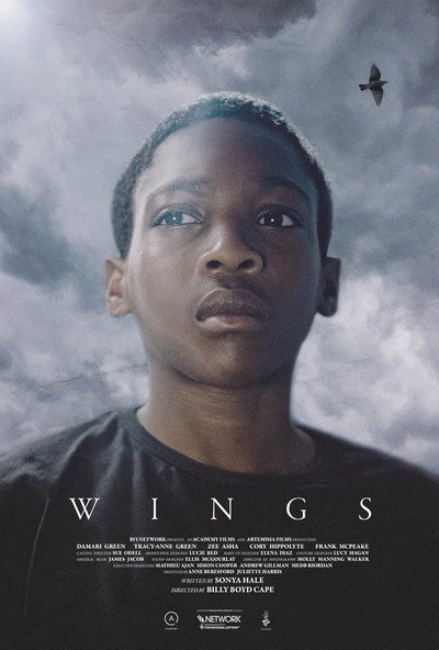 Póster de Wings