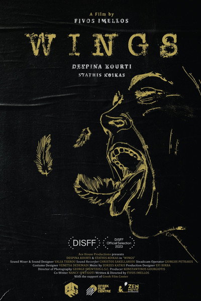 Póster de Wings
