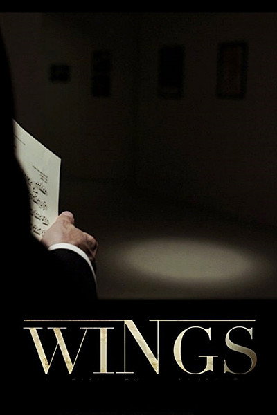 Póster de Wings