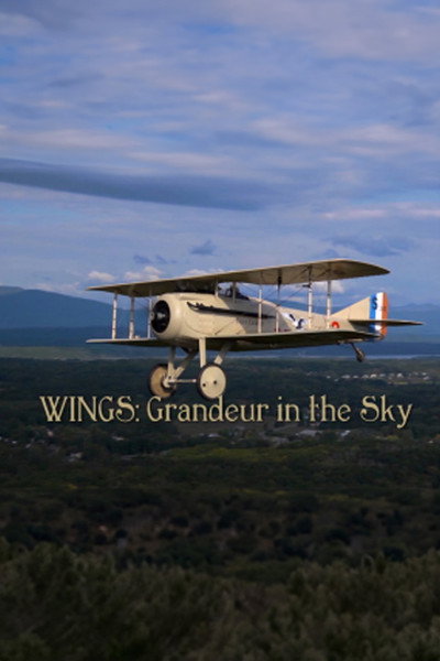 Póster de Wings: Grandeur in the Sky