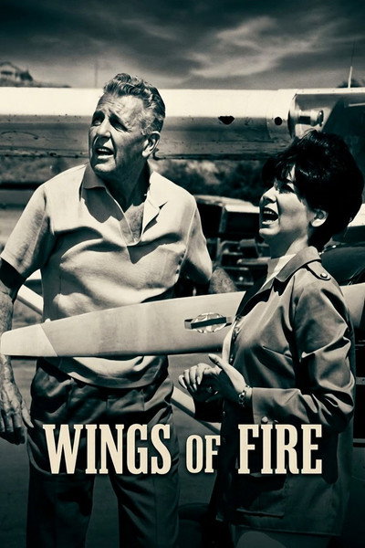 Póster de Wings of Fire