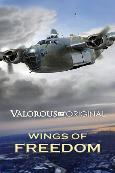 Póster de Wings of Freedom