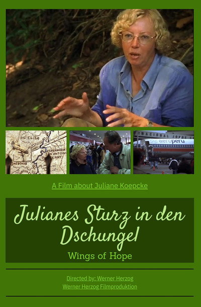 Póster de Wings of Hope