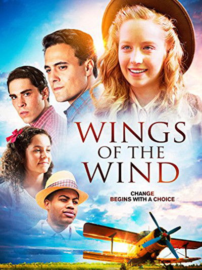 Póster de Wings of the Wind