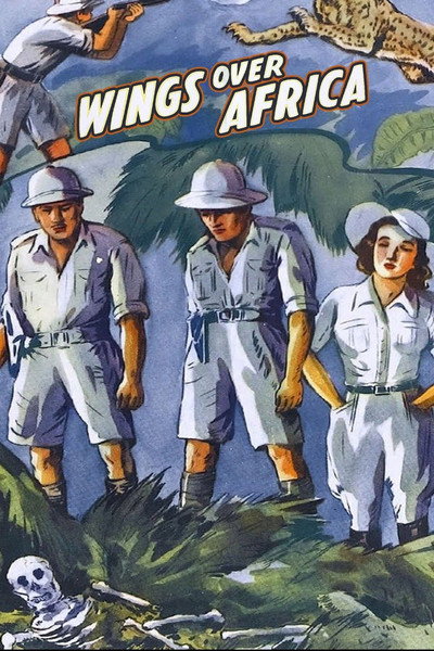 Póster de Wings Over Africa