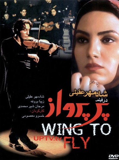 Póster de Wings to Fly