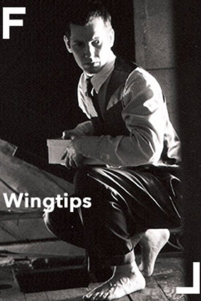 Póster de Wingtips