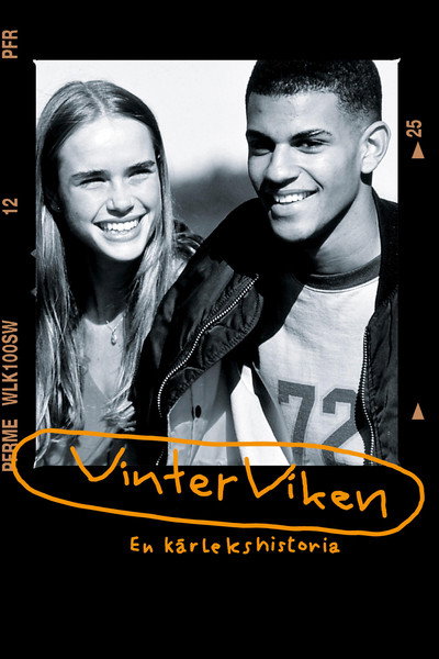 Póster de Winter Bay