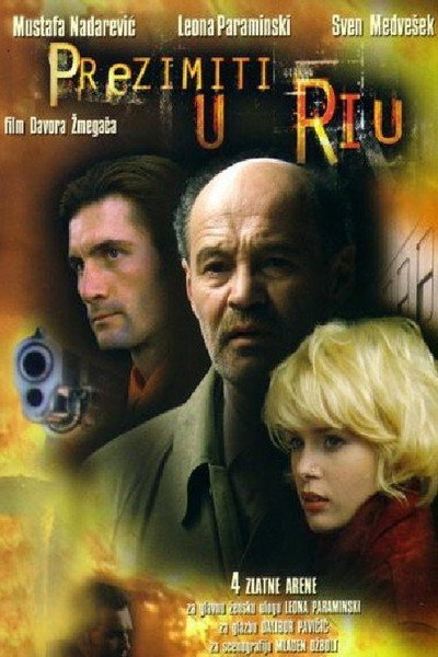 Póster de Winter in Rio