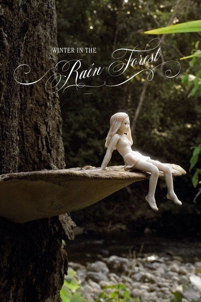 Póster de Winter in the Rainforest