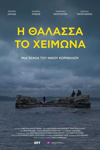 Póster de Winter Sea