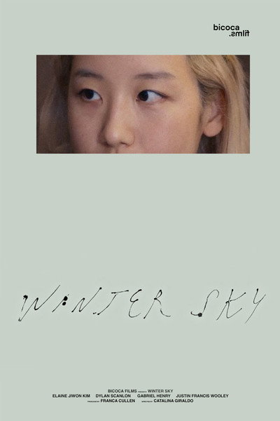 Póster de Winter Sky