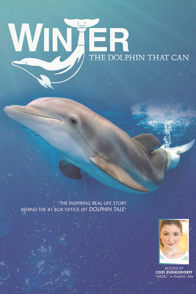 Póster de Winter, the Dolphin That Can