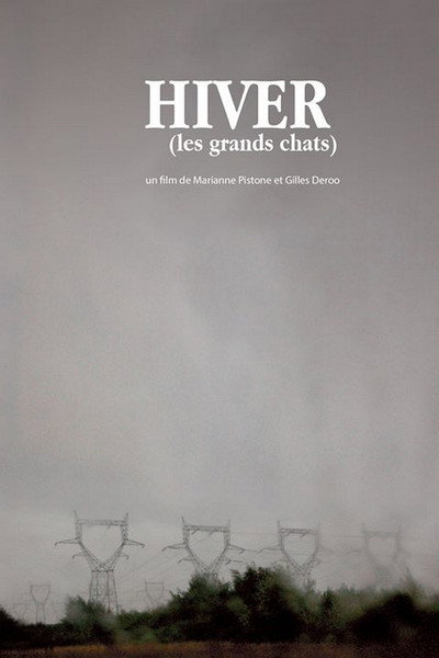 Póster de Winter (The Large Cats)