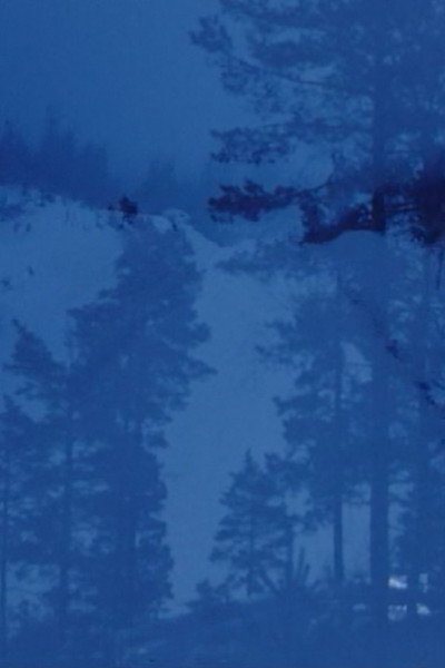 Póster de Winterfarbe II