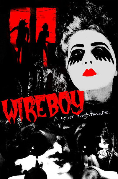 Póster de Wireboy
