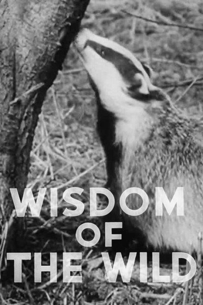Póster de Wisdom of the Wild