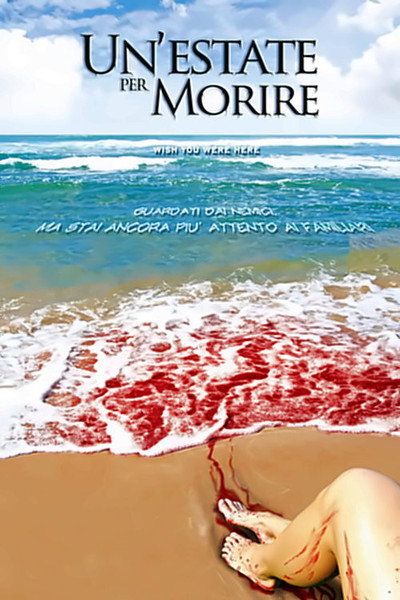 Póster de Wish You Were Here
