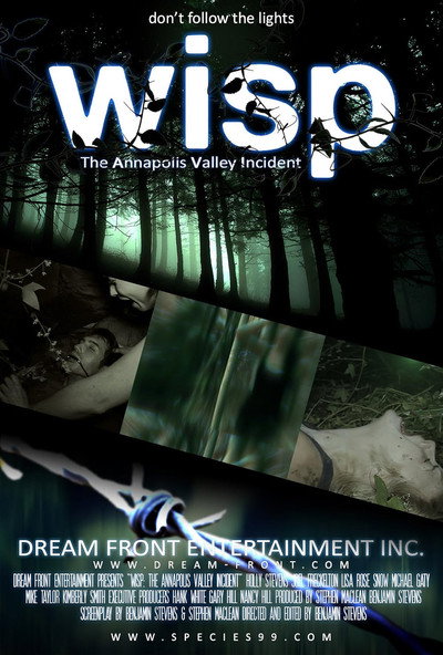 Póster de Wisp
