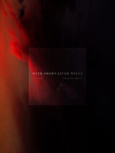 Póster de With Short-Lived Wings