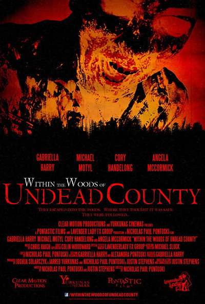 Póster de Within the Woods of Undead County
