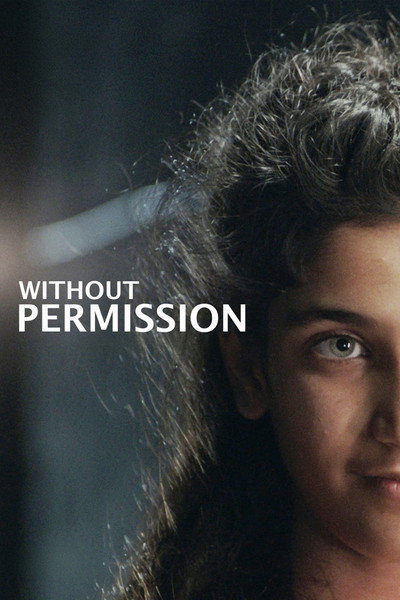 Póster de Without Permission