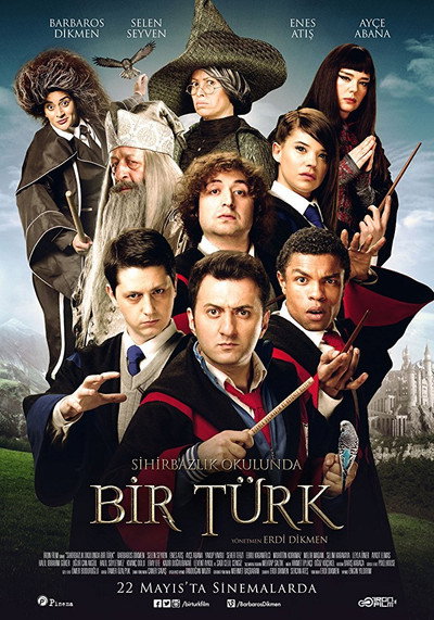 Póster de Wizard School