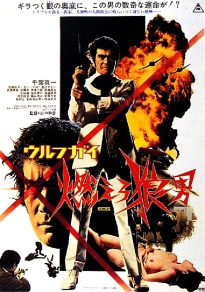 Póster de Wolf Guy