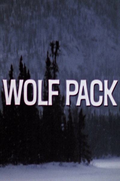 Póster de Wolf Pack