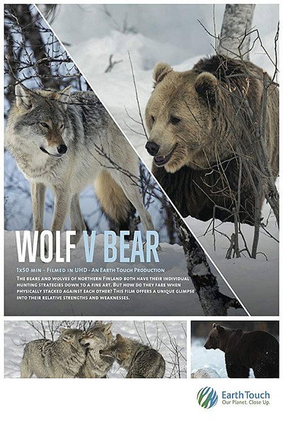 Póster de Wolf vs Bear