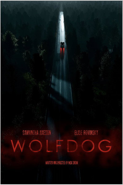 Póster de Wolfdog