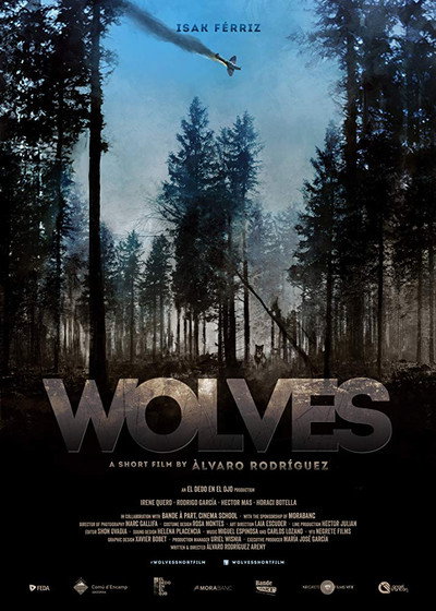 Póster de Wolves