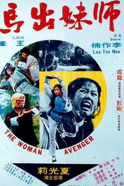 Póster de Woman Avenger