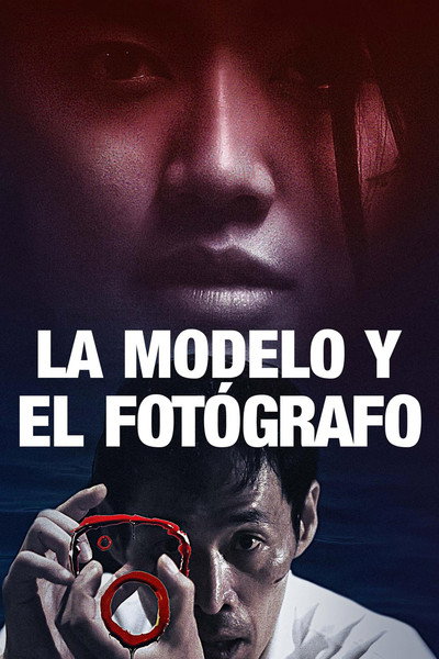 Póster de Woman of the photographs