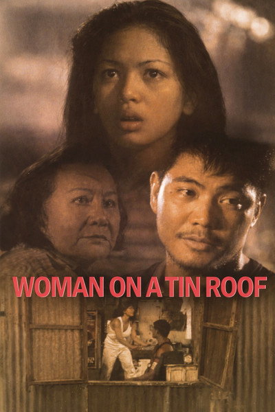 Póster de Woman on a Tin Roof