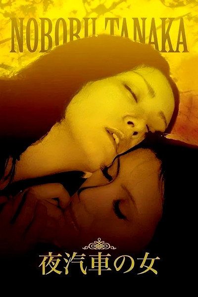 Póster de Woman on the Night Train