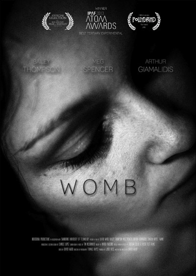 Póster de Womb
