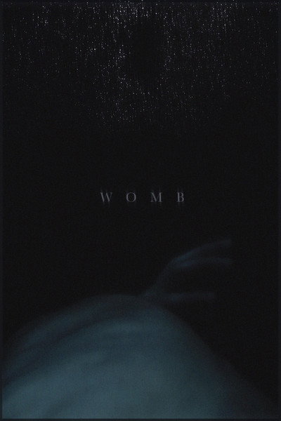 Póster de Womb
