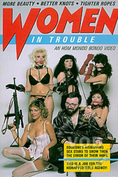 Póster de Women in Trouble