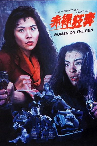Póster de Women on the Run