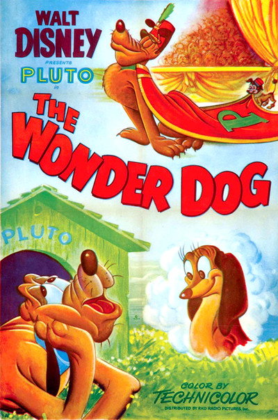 Póster de Wonder Dog