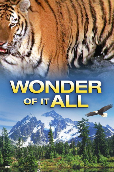 Póster de Wonder of It All