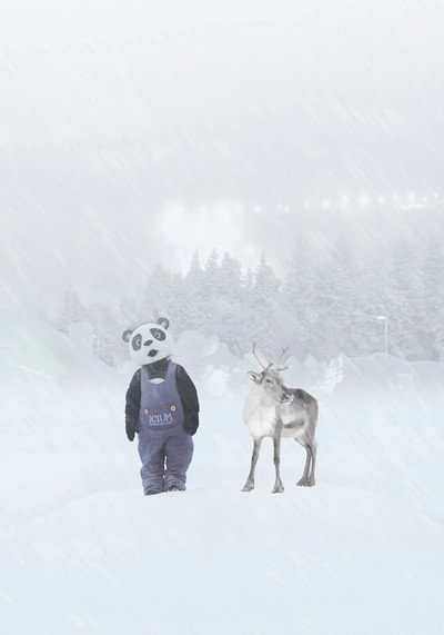 Póster de Wonder World of Ice