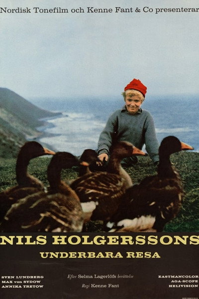 Póster de Wonderful Adventures of Nils