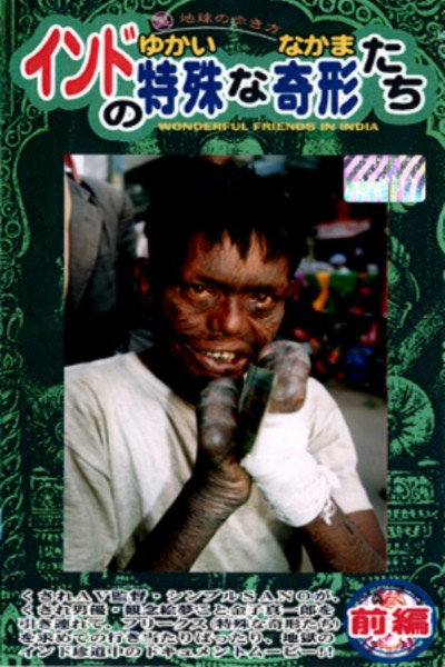 Póster de Wonderful Friends in India