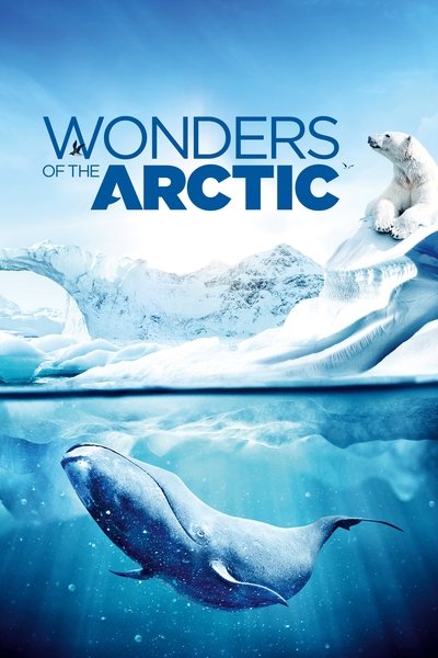Póster de Wonders of the Arctic 3D