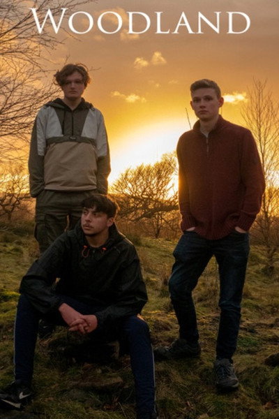 Póster de Woodland