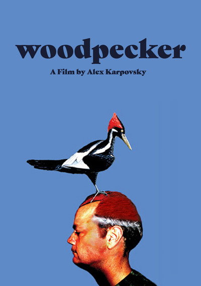 Póster de Woodpecker