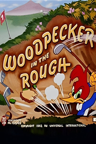 Póster de Woodpecker in the Rough